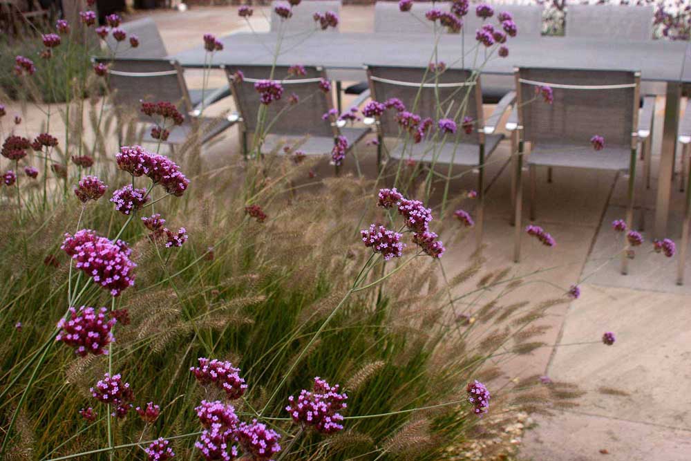 Rae Wilkinson Garden and Landscape Design Surrey, Sussex, Hampshire, London, South-East England