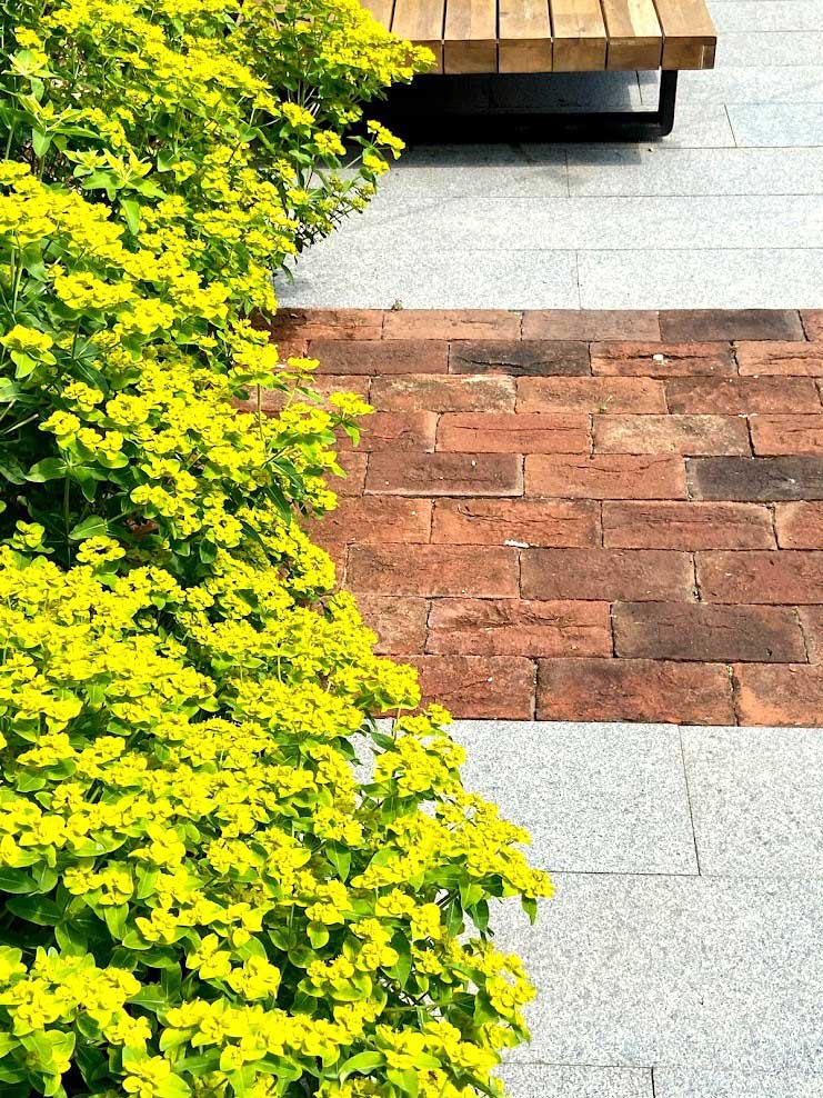 Brick paving detail