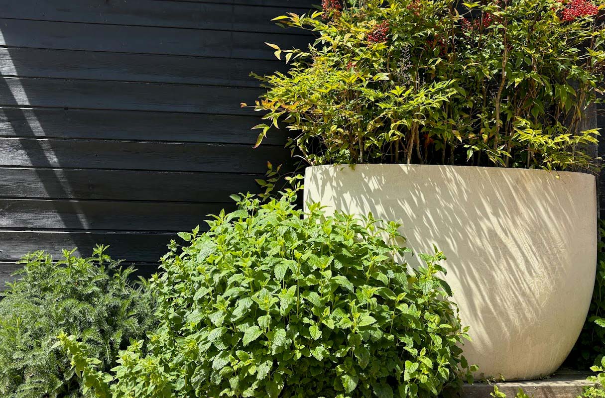Planting in a Barn Courtyard Garden