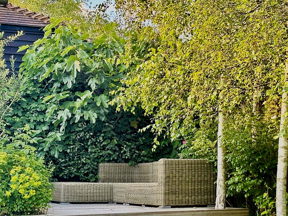 Outdoor seating area - barn courtyard garden