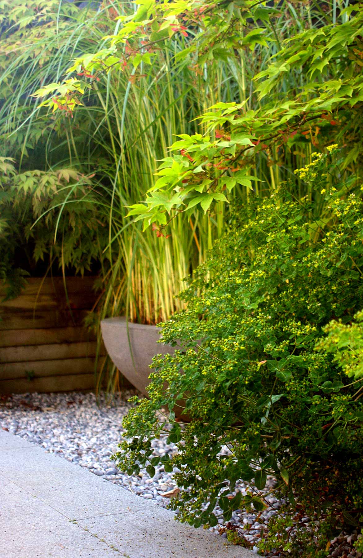 Planting in a barn courtyard garden
