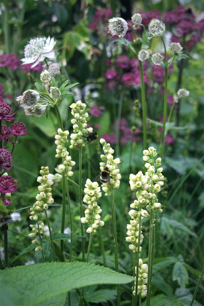 Space Within - an award winning RHS Chatsworth Show Garden. Rae Wilkinson Garden and Landscape Design Surrey, Sussex, Hampshire, London, South-East England