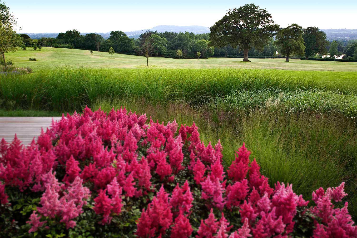 Garden design with view of open countryside by Rae Wilkinson