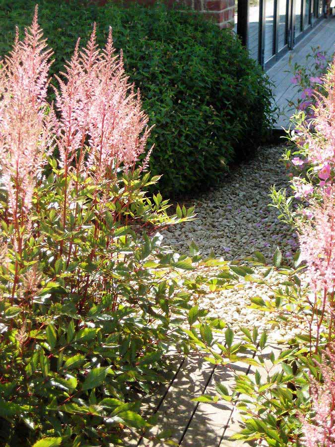 Detail of gravel path near the house. Rae Wilkinson Garden and Landscape Design - Garden Designer Sussex, Surrey, London, South-East England