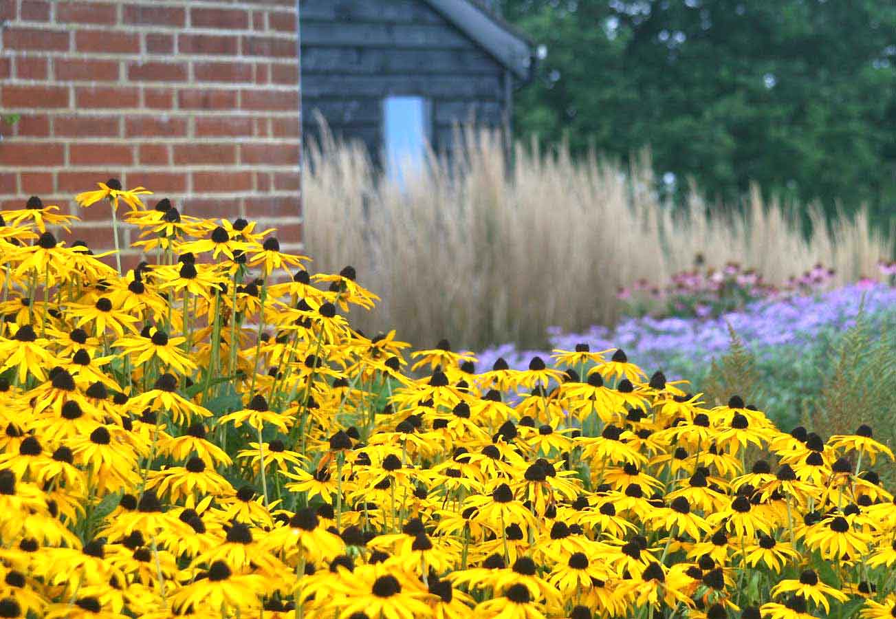 Bold drifts of colourful planting. Rae Wilkinson Garden and Landscape Design - Garden Designer Sussex, Surrey, London, South-East England