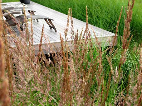 chairs on wodden decking. Rae Wilkinson Garden and Landscape Design - Garden Designer Sussex, Surrey, London, South-East England