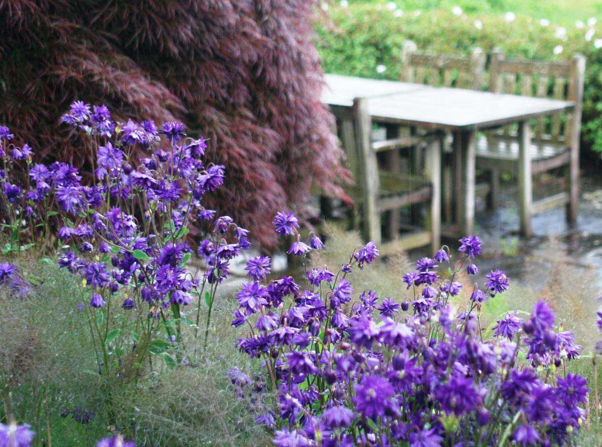 Outdoor dining area surrounded by soft planting and mature trees. Rae Wilkinson Garden and Landscape Design Surrey, Sussex, Hampshire, London, South-East England

<br style=