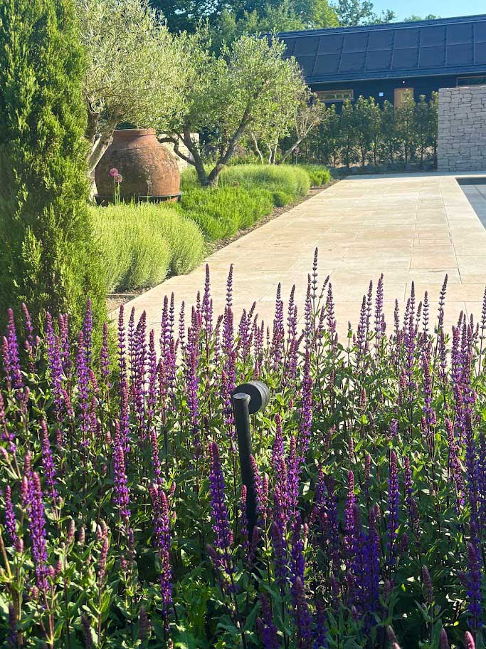 Hampshire retreat garden - Rae Wilkinson