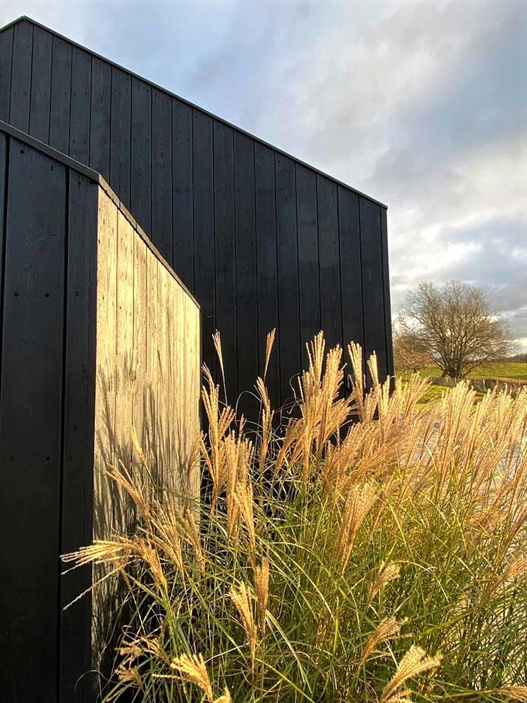 Black barn with grasses - hillside Surrey farmhouse. Rae Wilkinson Garden and Landscape Designer Surrey, Sussex, Hampshire, London, South-East England