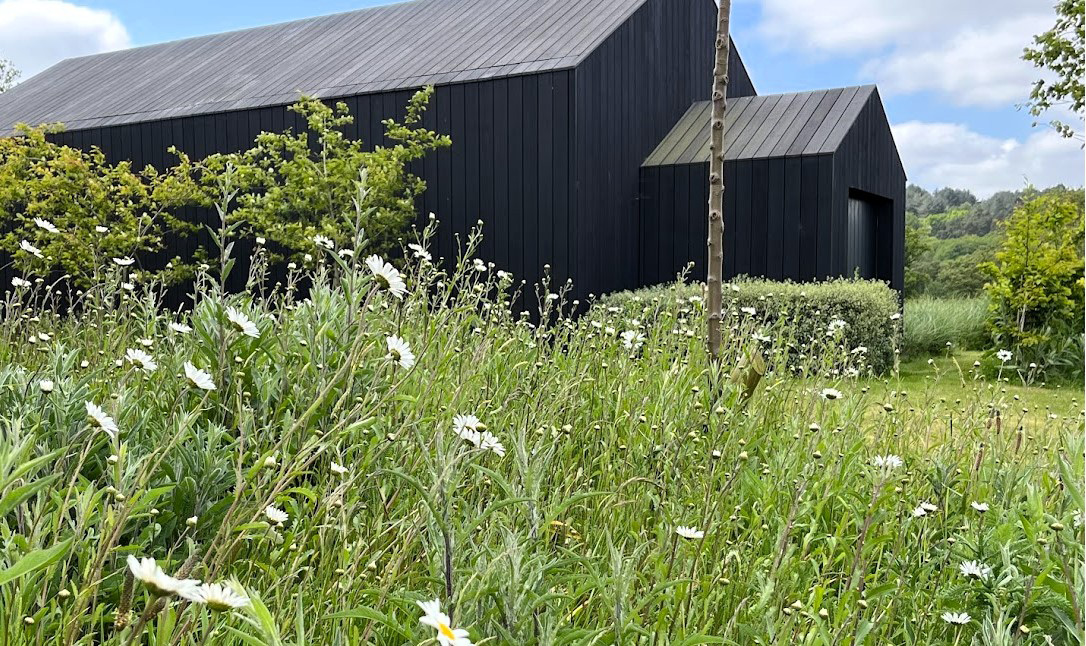 black barn with meadow planting foreground