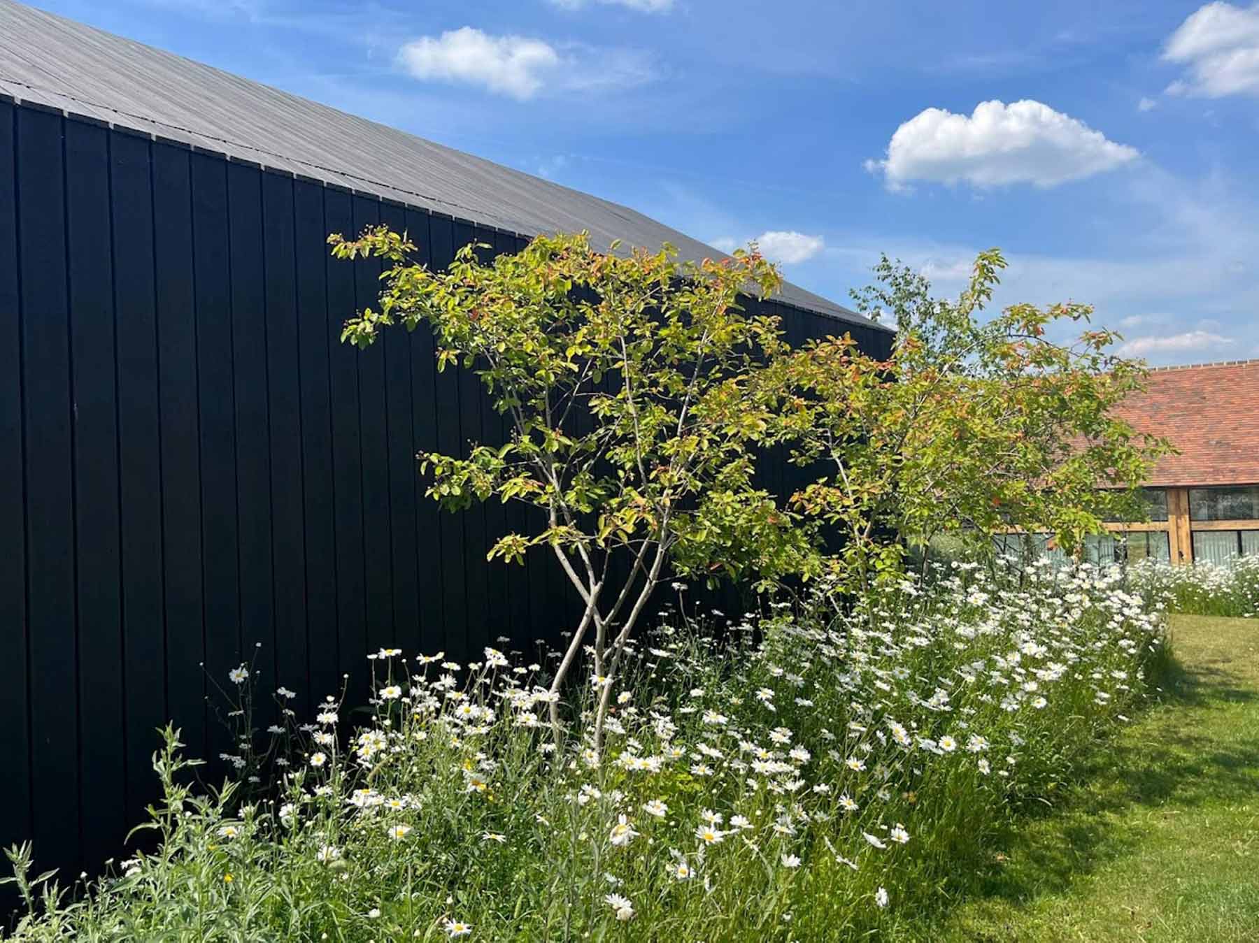 black barn with meadow planting foreground