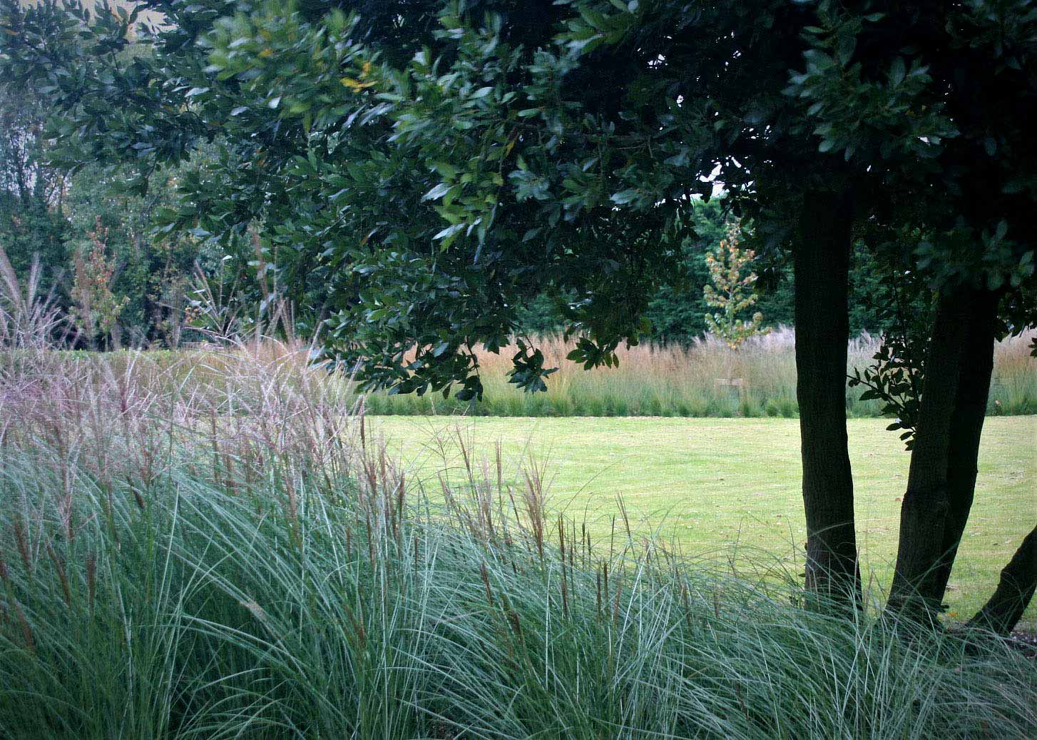 Rae Wilkinson Garden and Landscape Design - Garden Designer Sussex, Surrey, London, South-East England