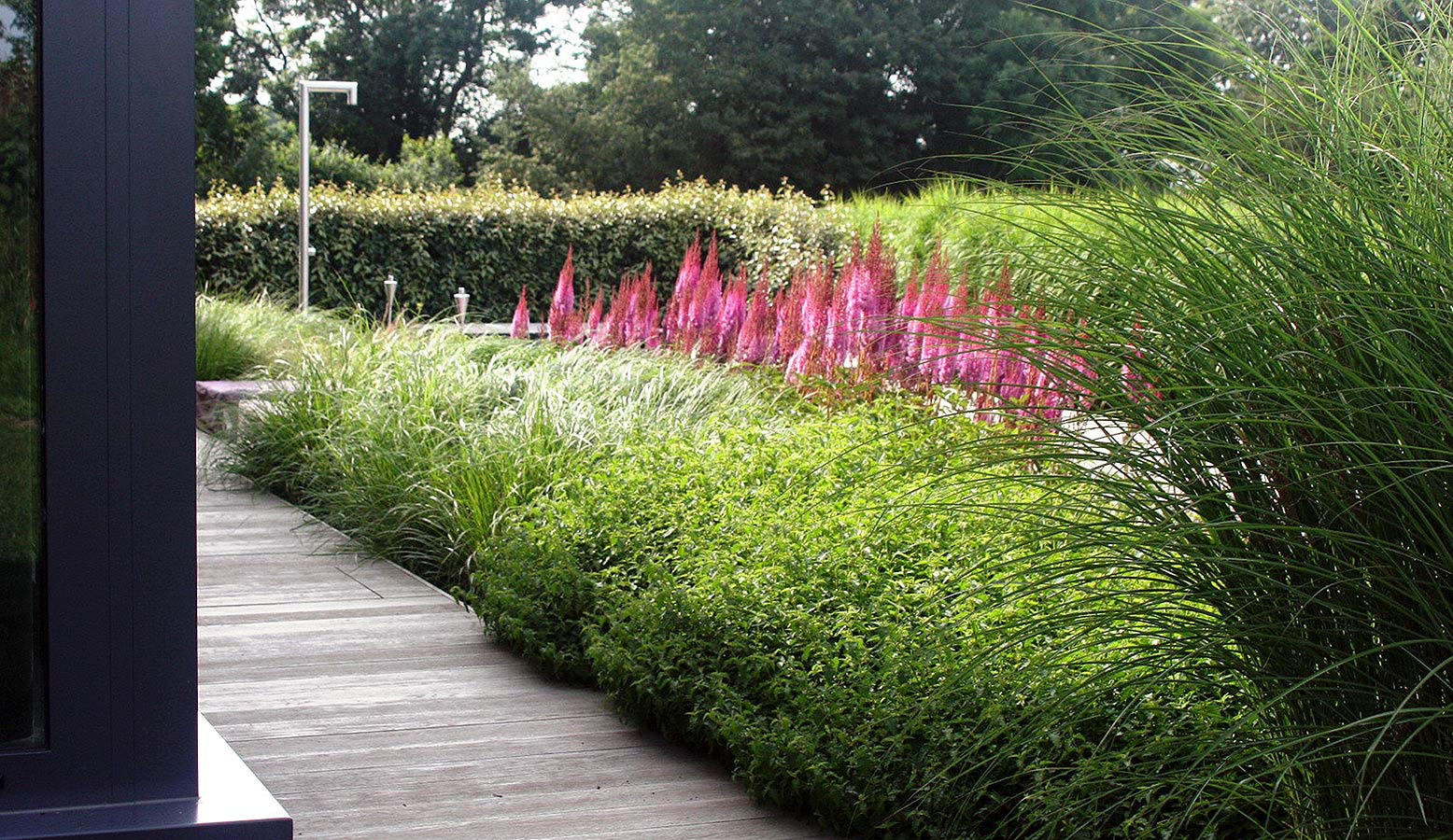  View of a contemporary garden by Rae Wilkinson Garden and Landscape Design - Garden Designer Sussex, Surrey, London, South-East England