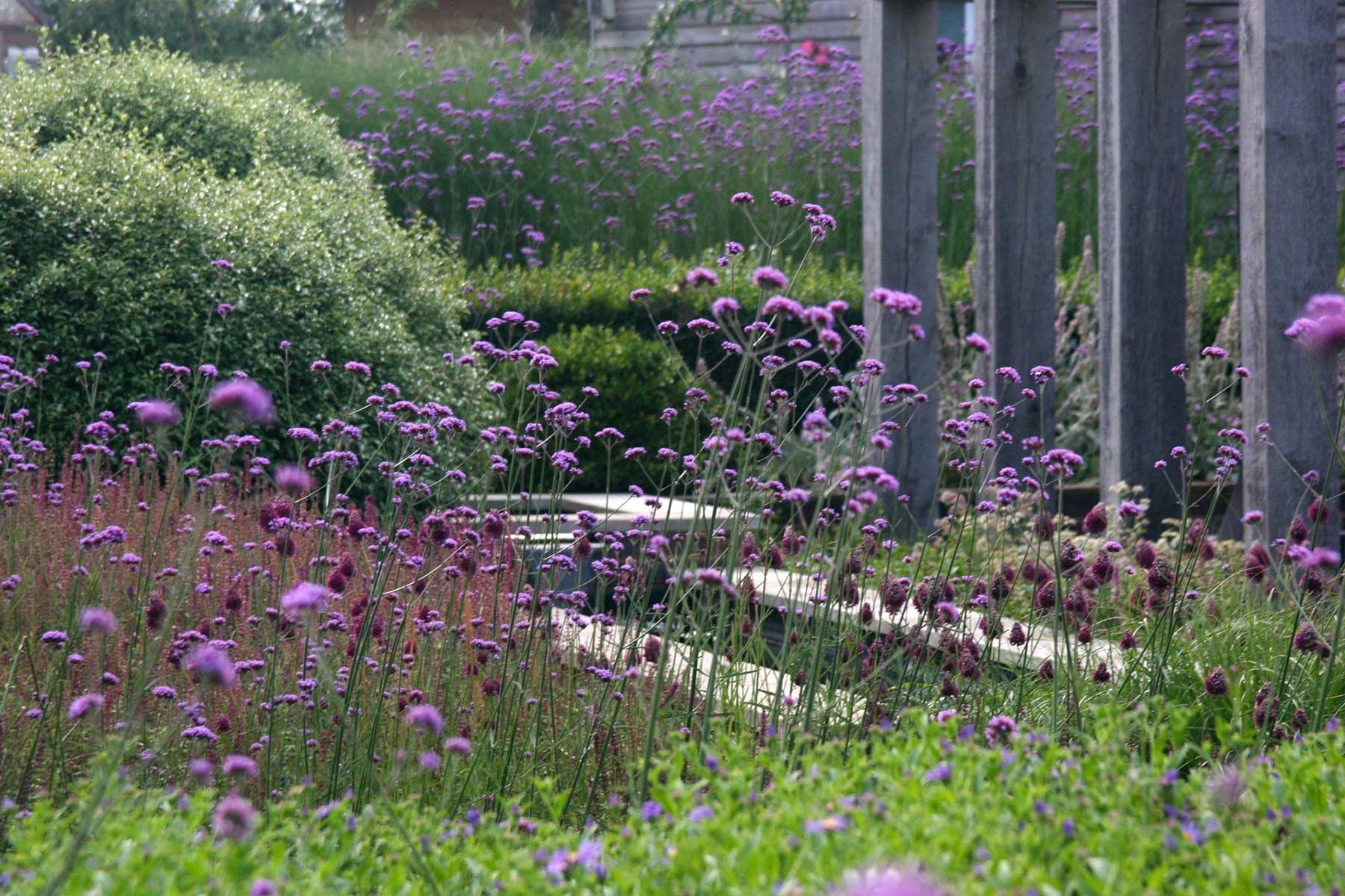 Sustainable meadow planting design by Rae Wilkinson (Rachel Conibear) softening the profile of a black timber barn