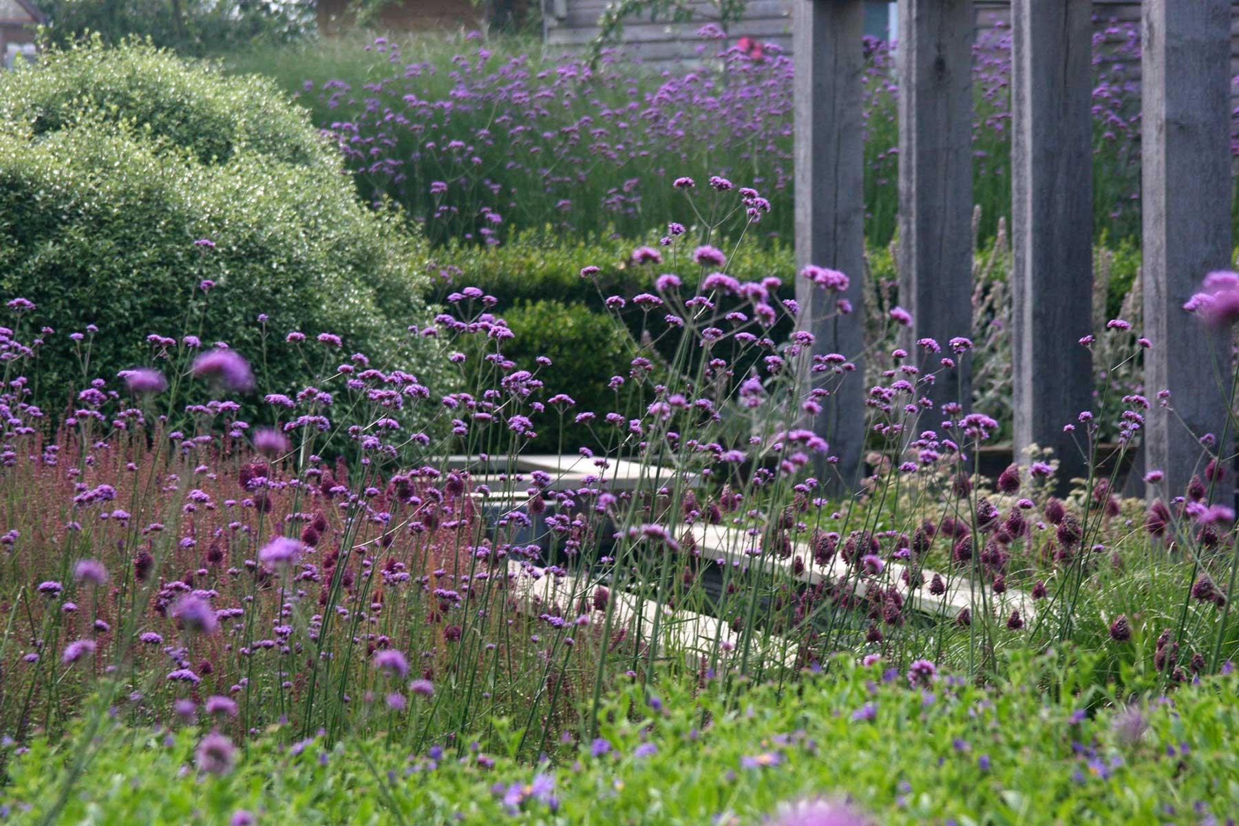 Sustainable meadow planting against a black timber barn